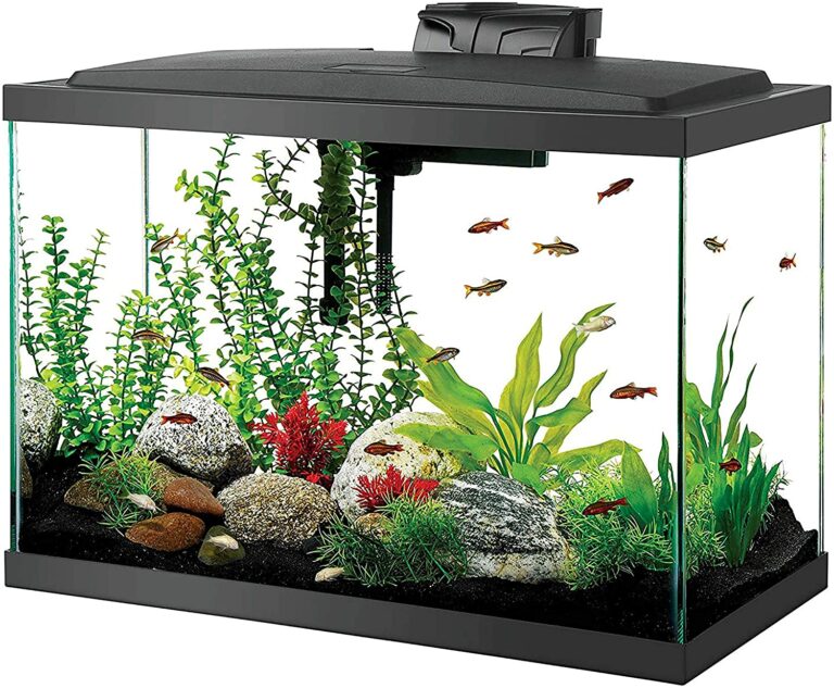 Aqueon Aquarium Starter Kit 鱼缸